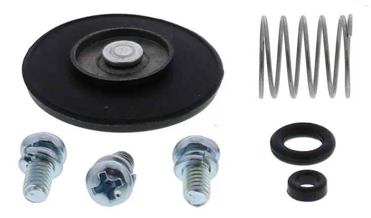Accel. Pump Rebuild Kit - 246-3002 1