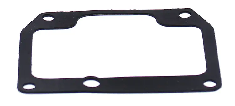 Float Bowl Gasket Only - 246-5049 1