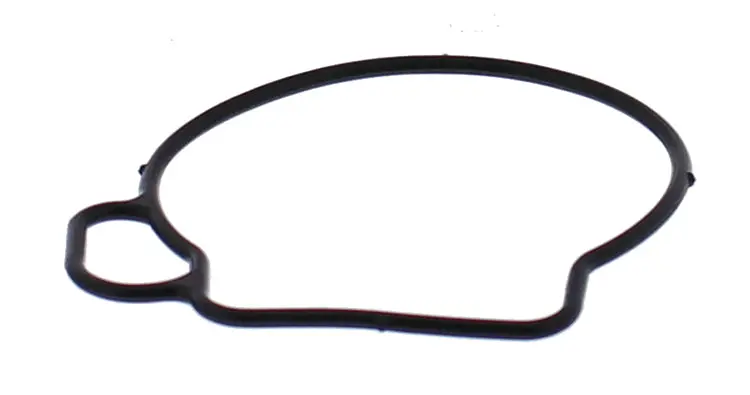 Float Bowl Gasket Only - 246-5076 1