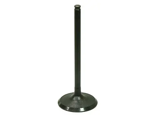Bronco Intake Valve - Au-09204I 1