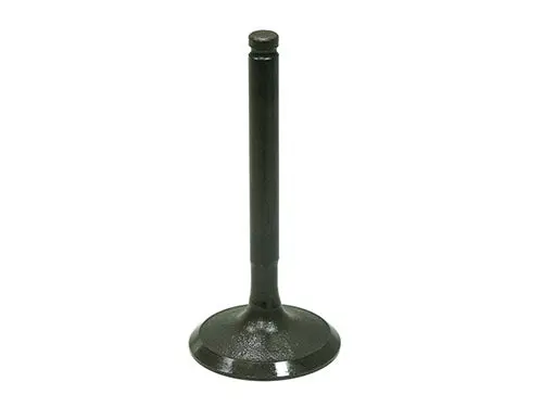 Bronco Intake Valve - Au-09207I 1