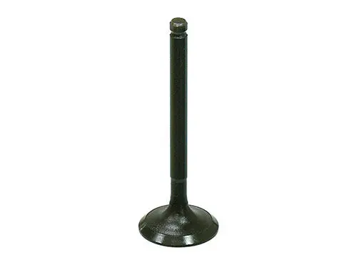 Bronco Intake Valve - Au-09212I 1