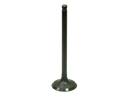 Bronco Intake Valve - Au-09216I 1