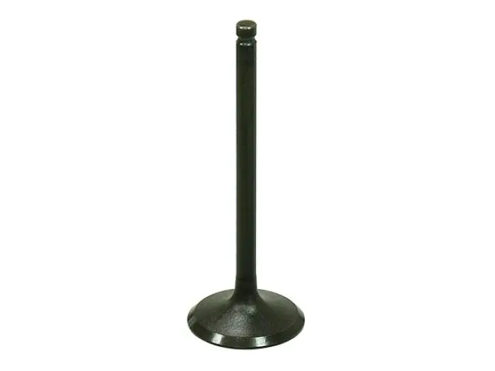 Bronco Intake Valve - Au-09215I 1