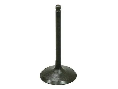 Bronco Intake Valve - Au-09219I 1