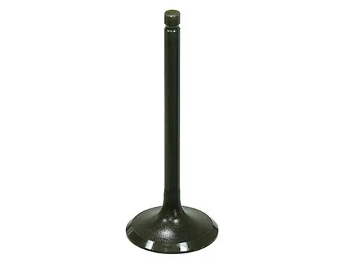Bronco Exhaust Valve - Au-09219E 1