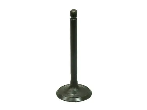 Bronco Intake Valve - Au-09217I 1