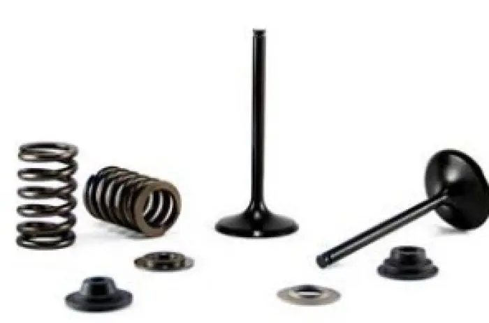 Bronco Intake Valve - Au-09220I 1