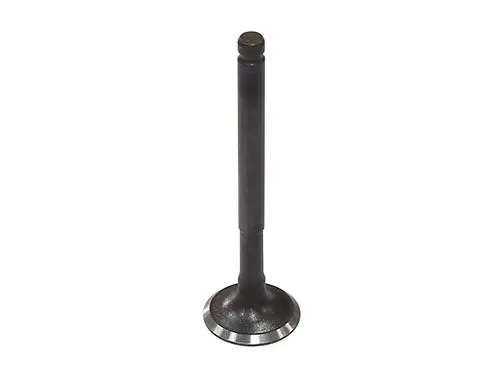 Bronco Intake Valve - Au-09221I 1
