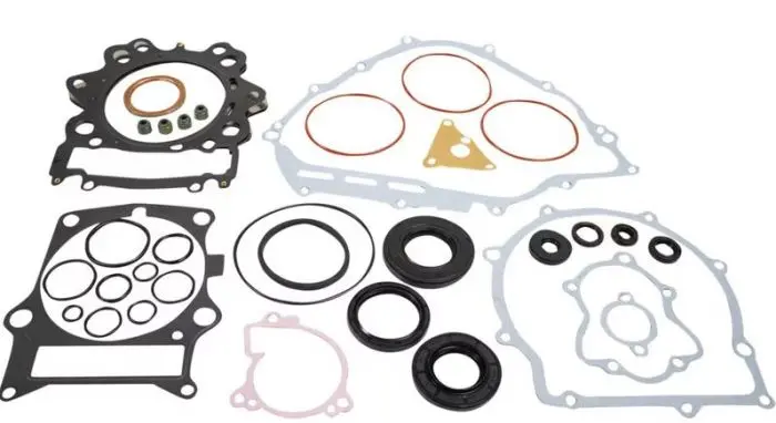 Vertex Complete Gasket Kit With Seals - 8110049 1