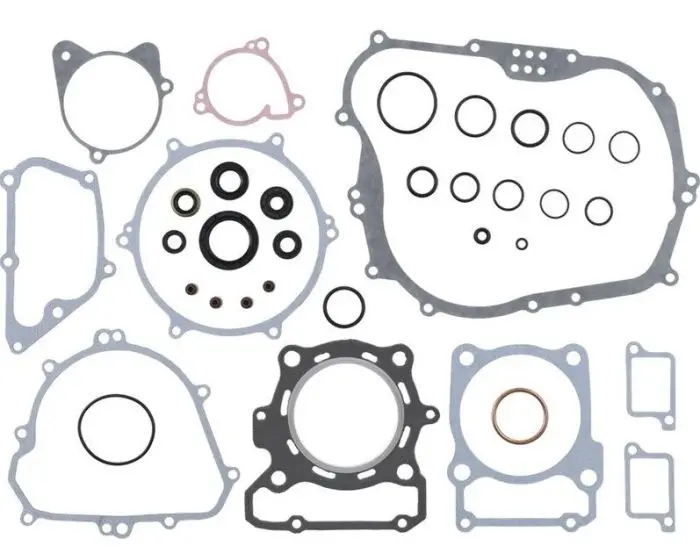 Vertex Complete Gasket Kit With Seals - 8110071 1