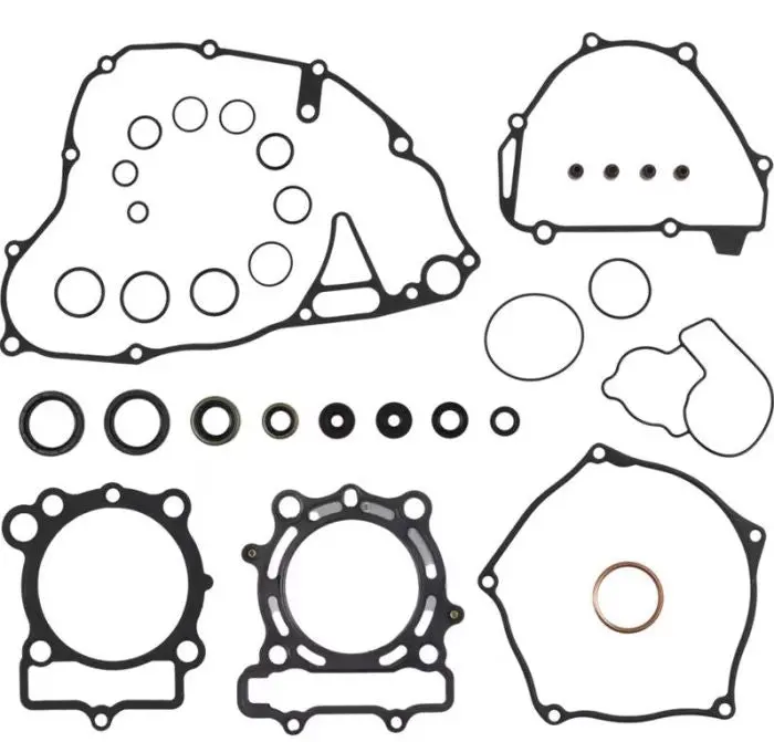 Vertex Complete Gasket Kit With Seals - 8110072 1