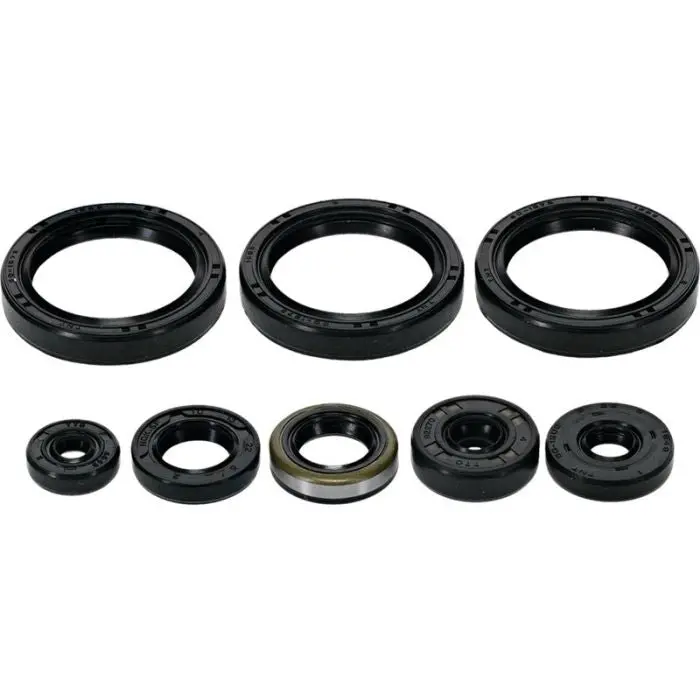 Vertex Engine Oil Seal Kit - 822403 1