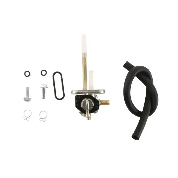 Fuel Star Fuel Valve Kit - Fs101-0199 1
