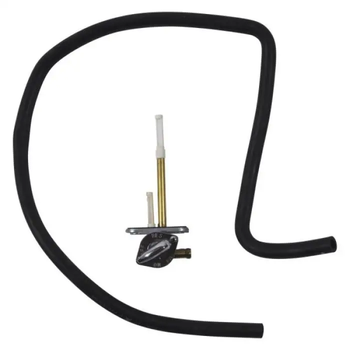 Fuel Star Fuel Valve Kit - Fs101-0216 1