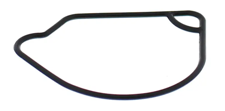 Float Bowl Gasket Only - 246-5015 1