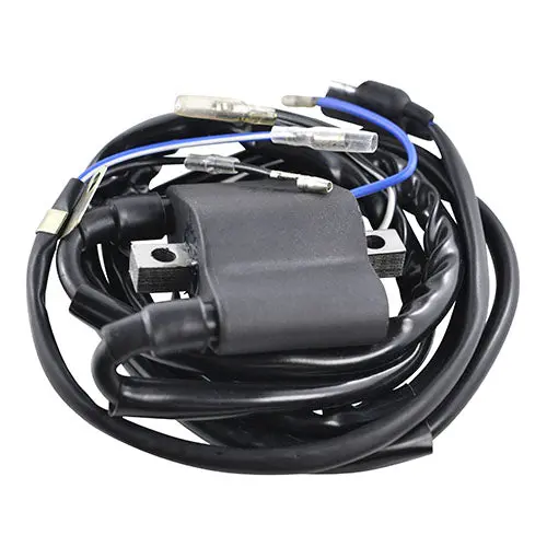 Rmstator External Ignition Coil - Rm06048 1