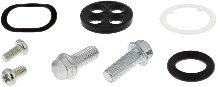 Fuel Tap Repair Kit - 260-1100 1