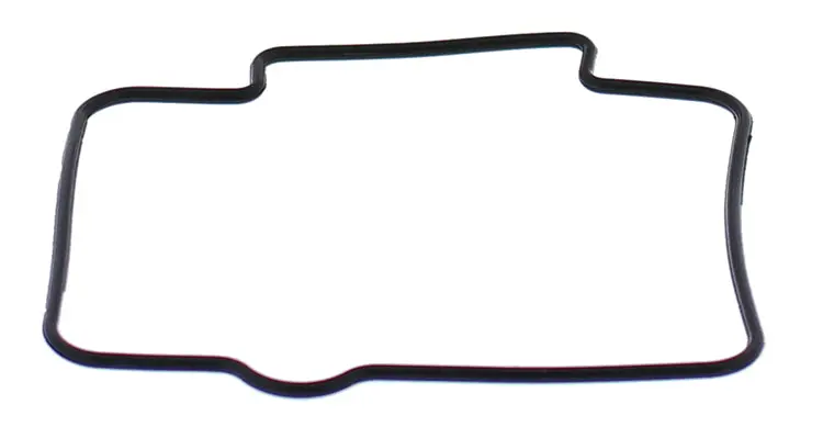 Float Bowl Gasket Only - 246-5018 1