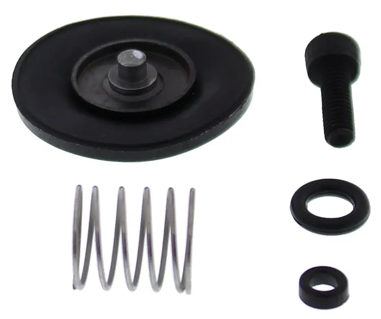 Accel. Pump Rebuild Kit - 246-3006 1