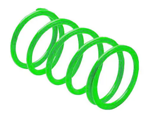 Erlandson Clutch Spring ,Limegreen - Kss8 1