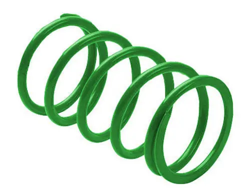 Erlandson Clutch Spring ,Green - Kss9 1