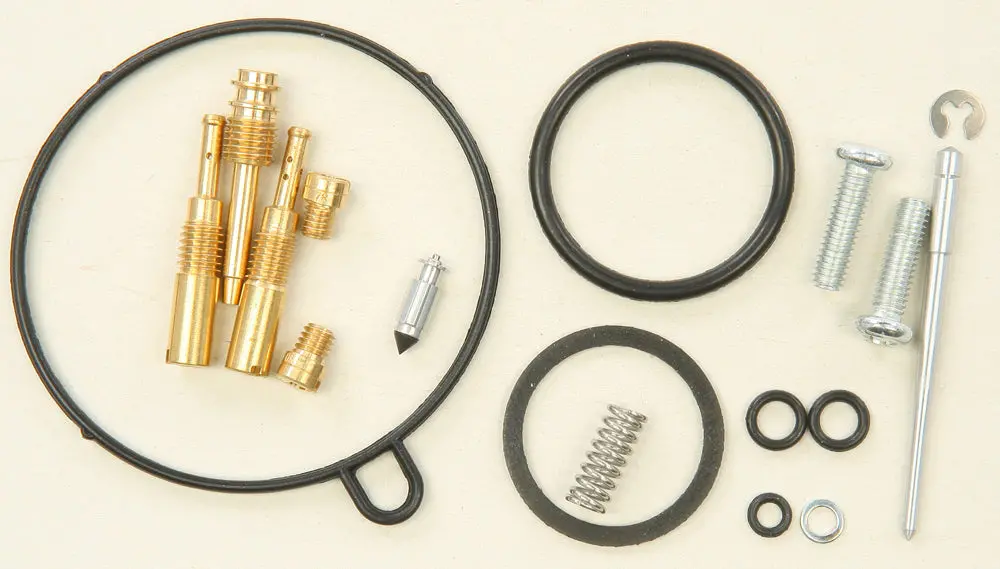 Bike Carburetor Rebuild Kit - 226-1404 1