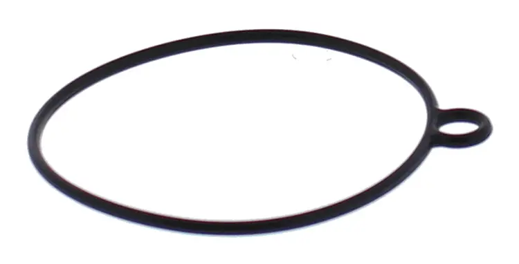 Float Bowl Gasket Only - 246-5089 1