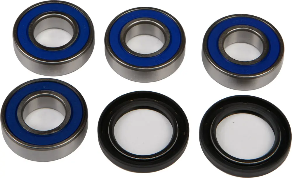 Rear Independent Suspension Kit - 243-1079 1