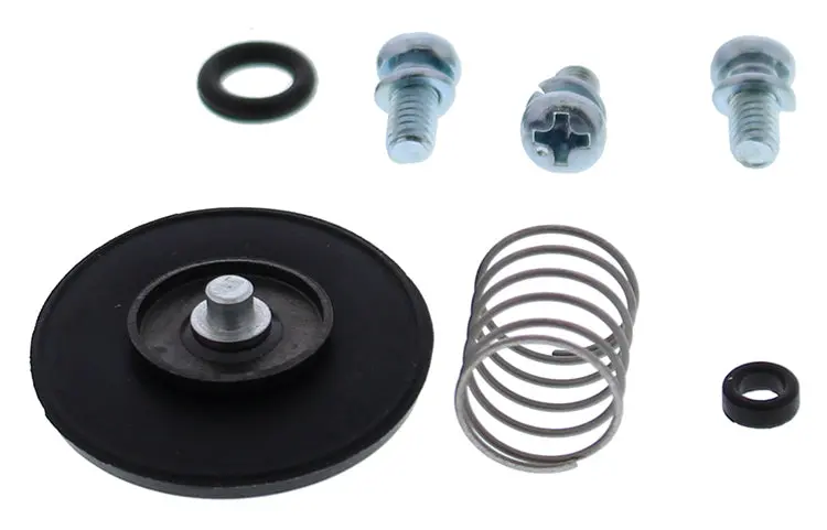 Accel. Pump Rebuild Kit - 246-3003 1