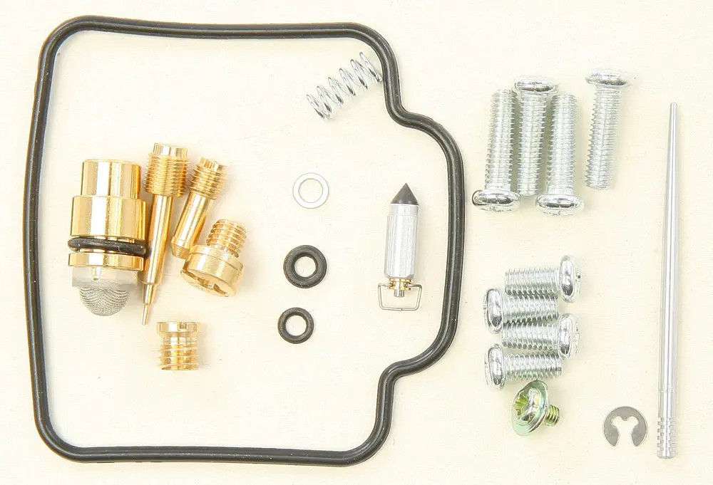 Carburetor Repair Kit - 226-1384 1