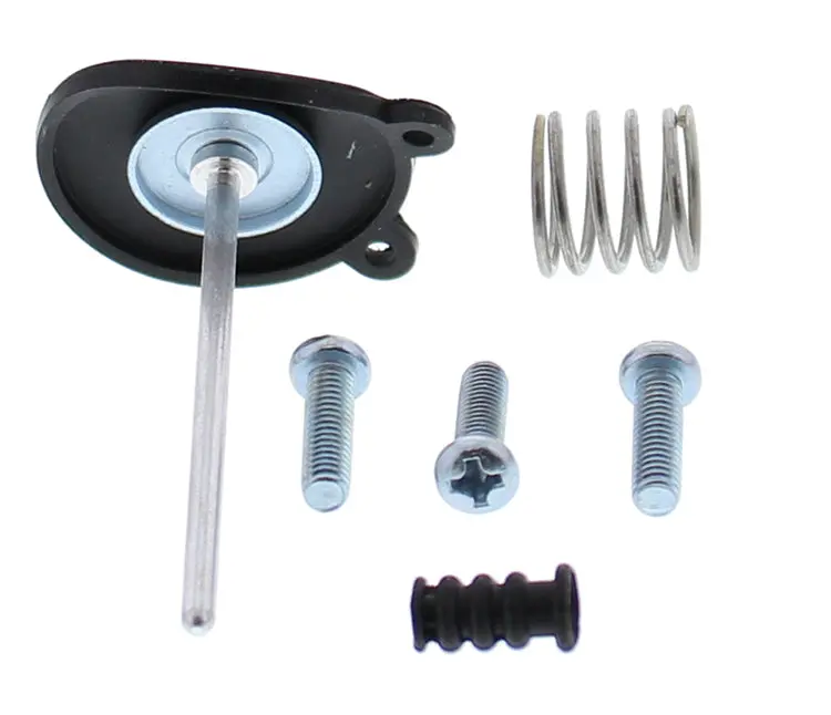 Accel. Pump Rebuild Kit - 246-3010 1