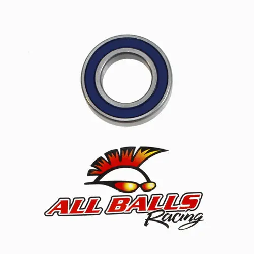 Bearing 6006-2Rs Double Lip Seals - 6006-2Rld 1