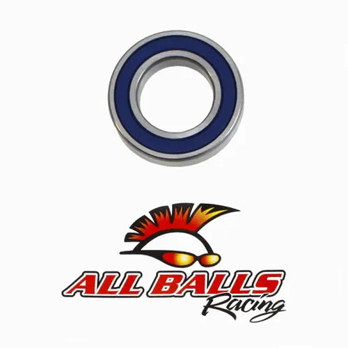Bearing 6007-2Rs Double Lip Seals - 6007-2Rs 1