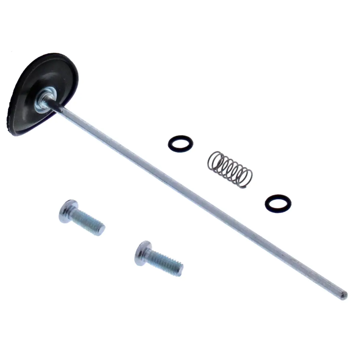 Accel. Pump Rebuild Kit - 246-3012 1