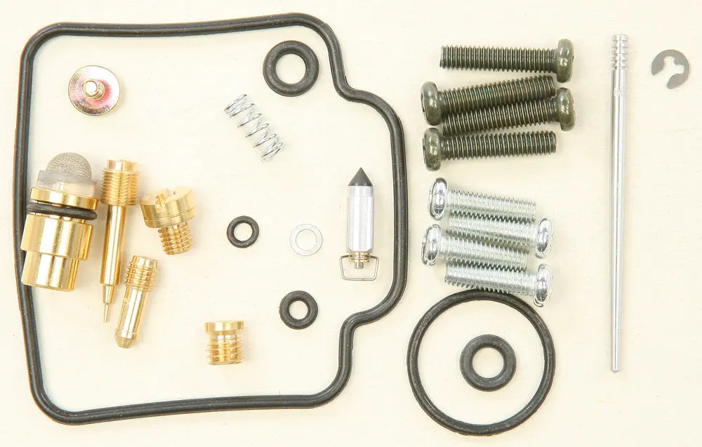 Carburetor Repair Kit - 226-1389 1