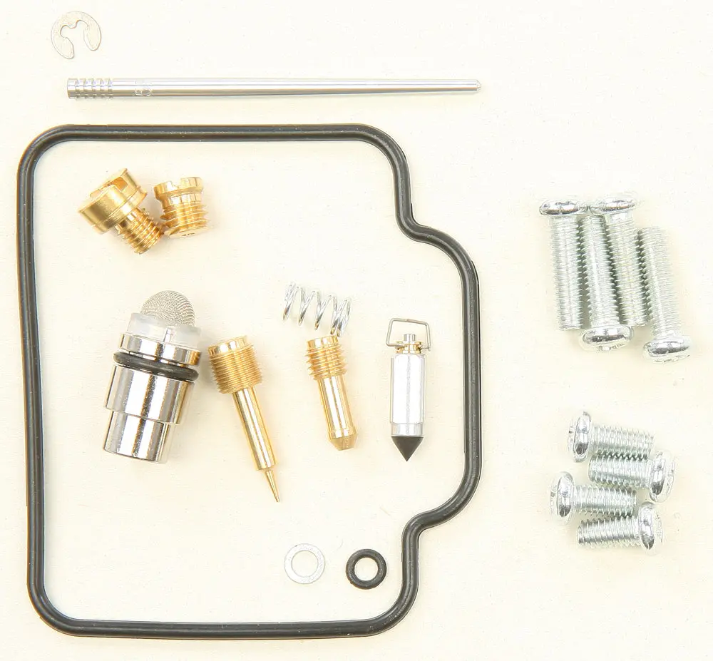 Carburetor Repair Kit - 226-1343 1