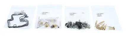 Bike Carburetor Rebuild Kit - 226-1647 1