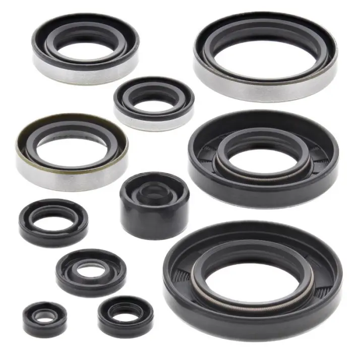 Vertex Engine Oil Seal Kit - 822288 1