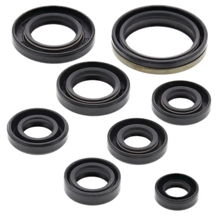 Vertex Engine Oil Seal Kit - 822305 1
