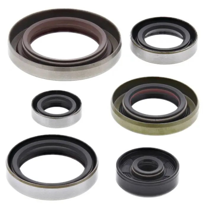 Vertex Engine Oil Seal Kit - 822348 1
