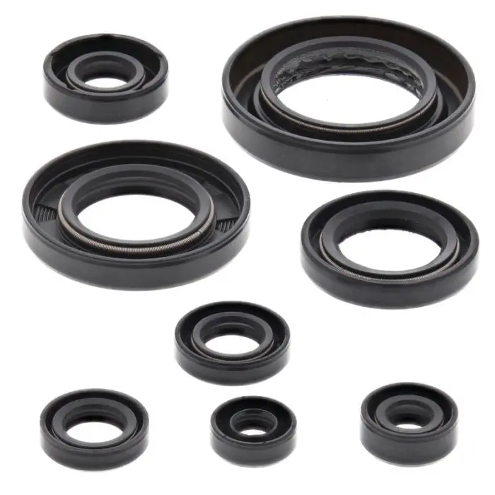 Vertex Engine Oil Seal Kit - 822354 1