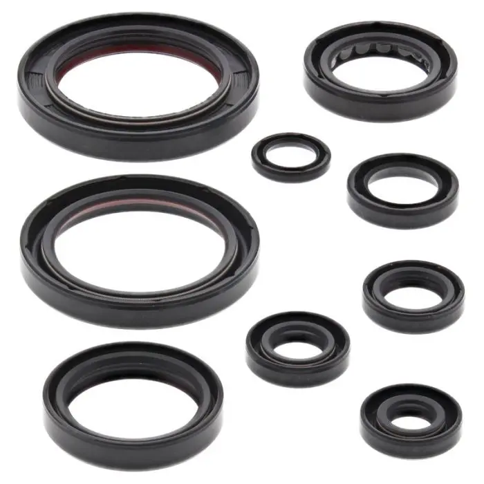 Vertex Engine Oil Seal Kit - 822357 1