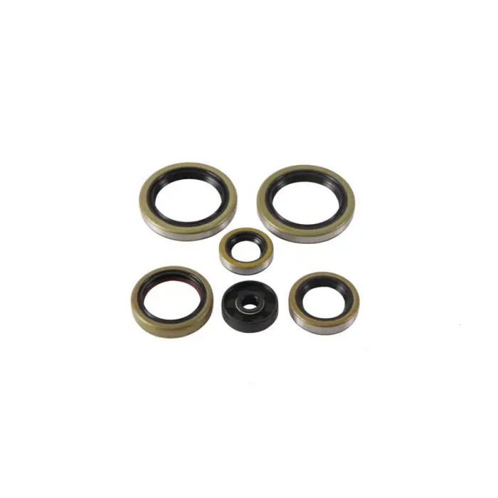 Vertex Engine Oil Seal Kit - 822370 1