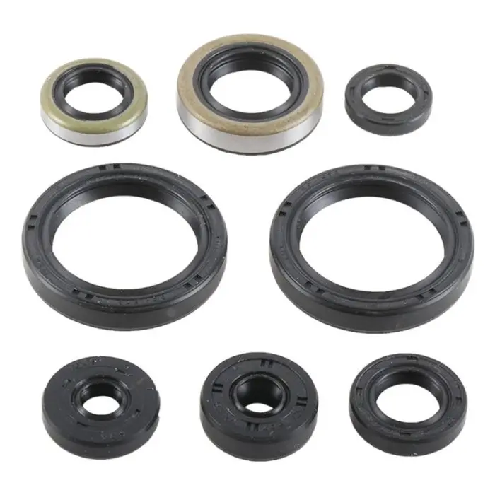 Vertex Engine Oil Seal Kit - 822977 1
