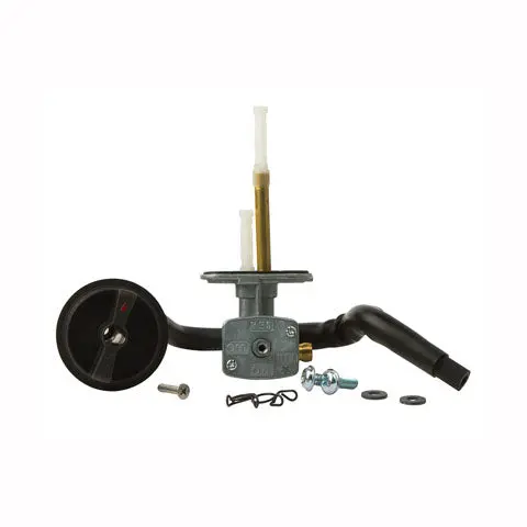 Fuel Star Fuel Valve Kit - Fs101-0039 1