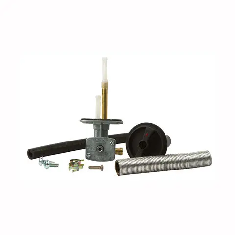 Fuel Star Fuel Valve Kit - Fs101-0041 1