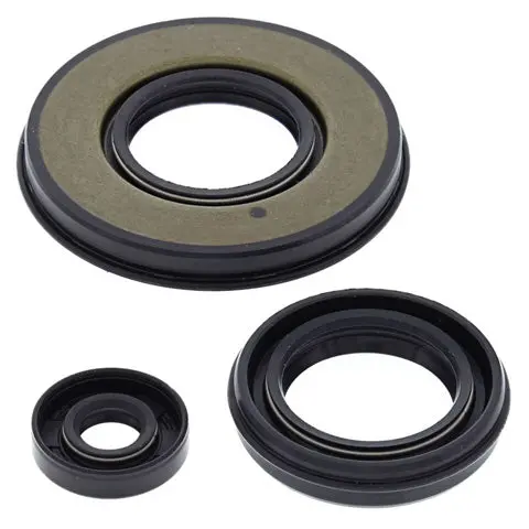 Vertex Engine Oil Seal Kit - 55199 1