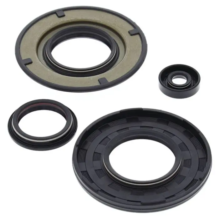 Vertex Engine Oil Seal Kit - 55204 1