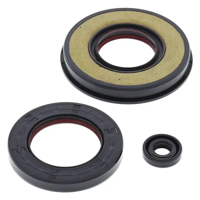 Vertex Engine Oil Seal Kit - 55221 1